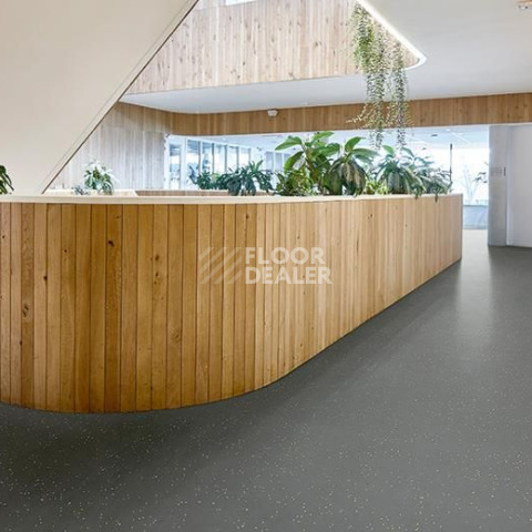 Forbo Sphera Energetic 51244 vivid ebony фото 2 | FLOORDEALER